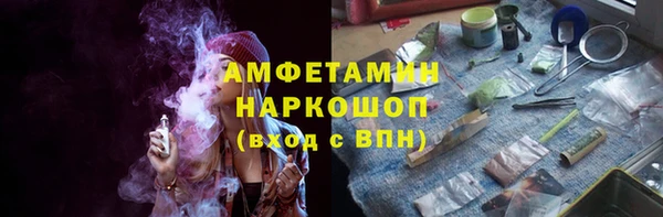 ГАЛЛЮЦИНОГЕННЫЕ ГРИБЫ Горно-Алтайск