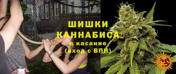 ГАЛЛЮЦИНОГЕННЫЕ ГРИБЫ Горно-Алтайск