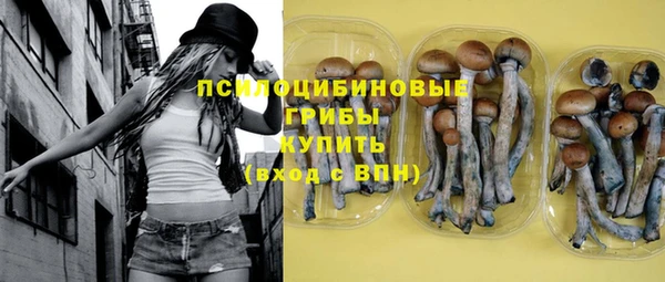 ГАЛЛЮЦИНОГЕННЫЕ ГРИБЫ Горно-Алтайск